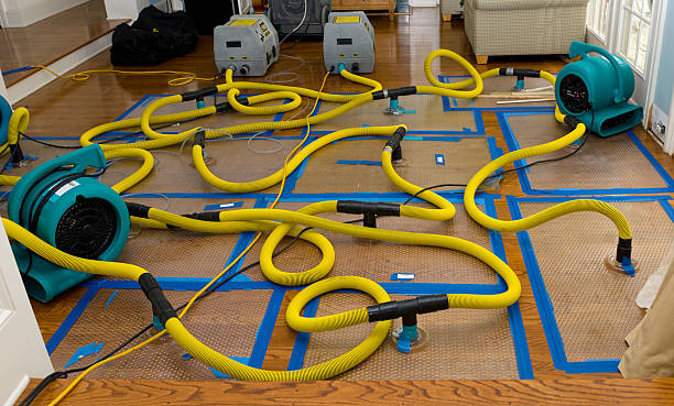 Professional Sewage Cleanup technician working in Lorain, OH